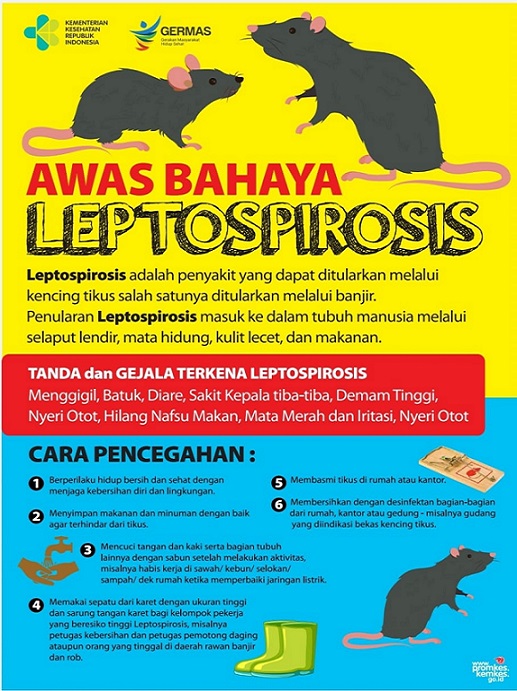 leptospirosis-flyer