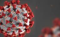 Virus Corona, Gejala, Penyebaran dan Pencegahannya